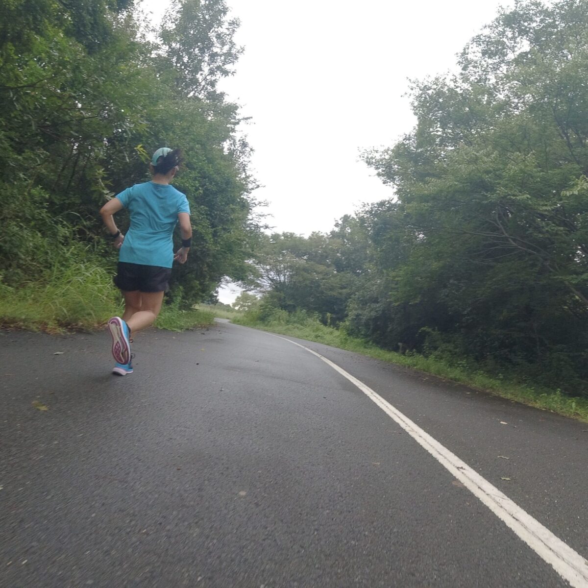 はじめてのところ はじめてのところ