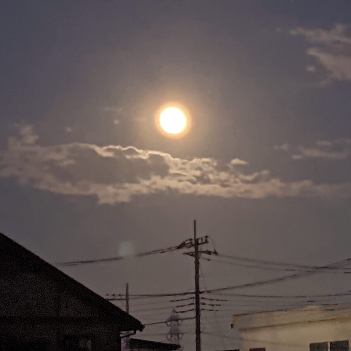 ホンキにならない